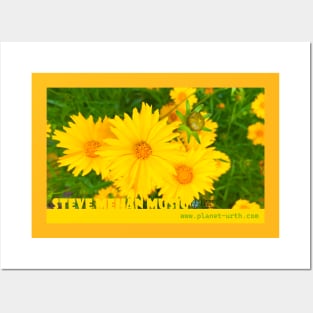 Coreopsis Flower Power Posters and Art